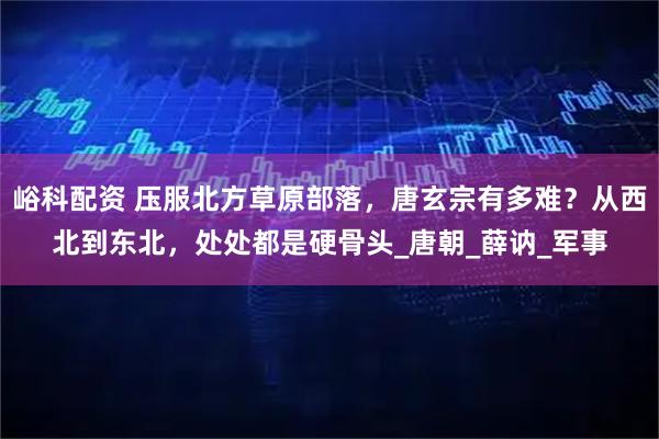 峪科配资 压服北方草原部落，唐玄宗有多难？从西北到东北，处处都是硬骨头_唐朝_薛讷_军事