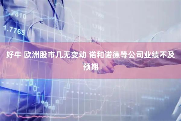 好牛 欧洲股市几无变动 诺和诺德等公司业绩不及预期